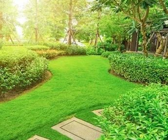 Landscaper Long Beach