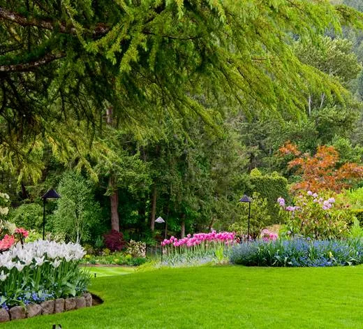 Landscaper Long Beach