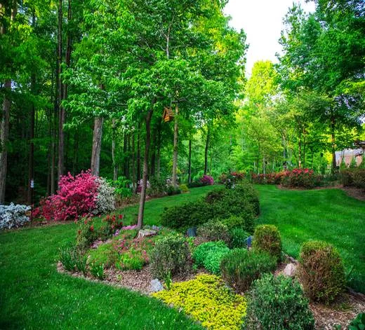 Landscaper Near Me Long Beach